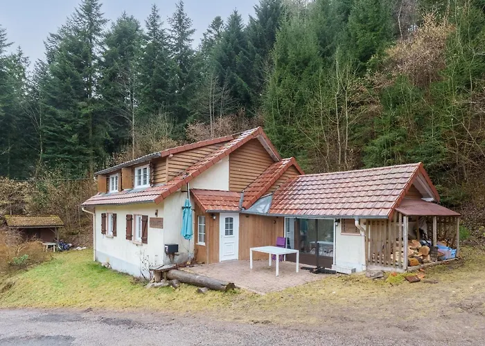 Forestier - Stations De A Proximite Plainfaing