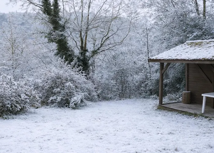 Forestier - Stations De A Proximite